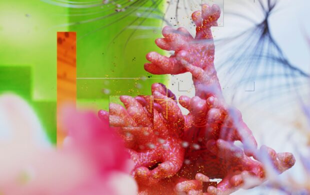 a close up of a flower with a blurry background