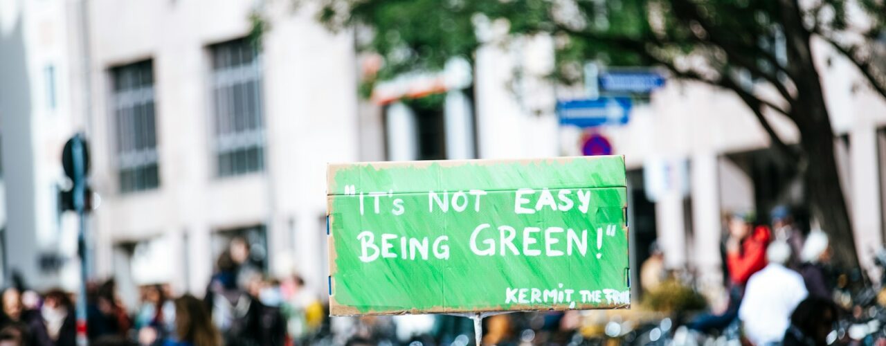 man holding a green board in a rally